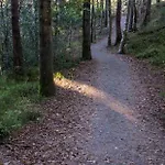 Romslig Familiehus Pa Sorlandskysten